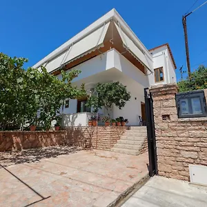 Maci Sarandë